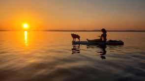 Zamárdiban, vízpart közeli nyaraló, saját stéggel eladó